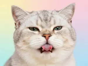 Read more about the article Goofy Cat Pfps To Showcase Your Playful And Funny Personality
