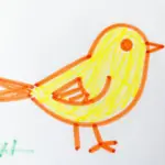 Simple Bird Drawing Ideas For Kids To Try Today