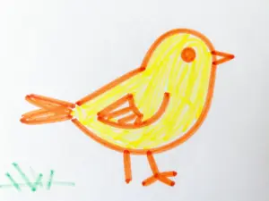 Read more about the article Simple Bird Drawing Ideas For Kids To Try Today