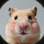Silly Animal Pfp Options To Declare Your Inner Goofball